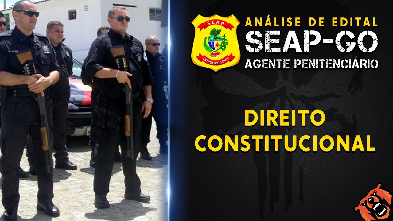 Concurso Polícia Penal MG - Direito Constitucional - Prof. Davi Ferraz - Monster  Concursos 