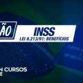 Concurso INSS 2019 | Aulão Lei 8.213/91: Benefícios