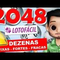 Lotofacil 2048 dicas e analises - dezenas fixas - fortes e fracas JR PALPITES