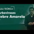 Febre Amarela Arboviroses - AULA TEÓRICA | Concursos Veterinários