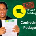 Questões Diversas -Conhecimentos Pedagógicos- Preparatório Concursos -Macetes Pedagógicos - Live 051